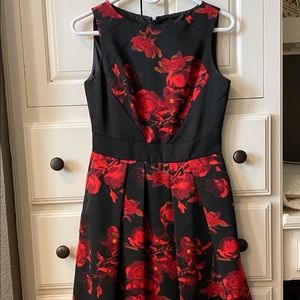 Taylor fit and flare cocktail dress
